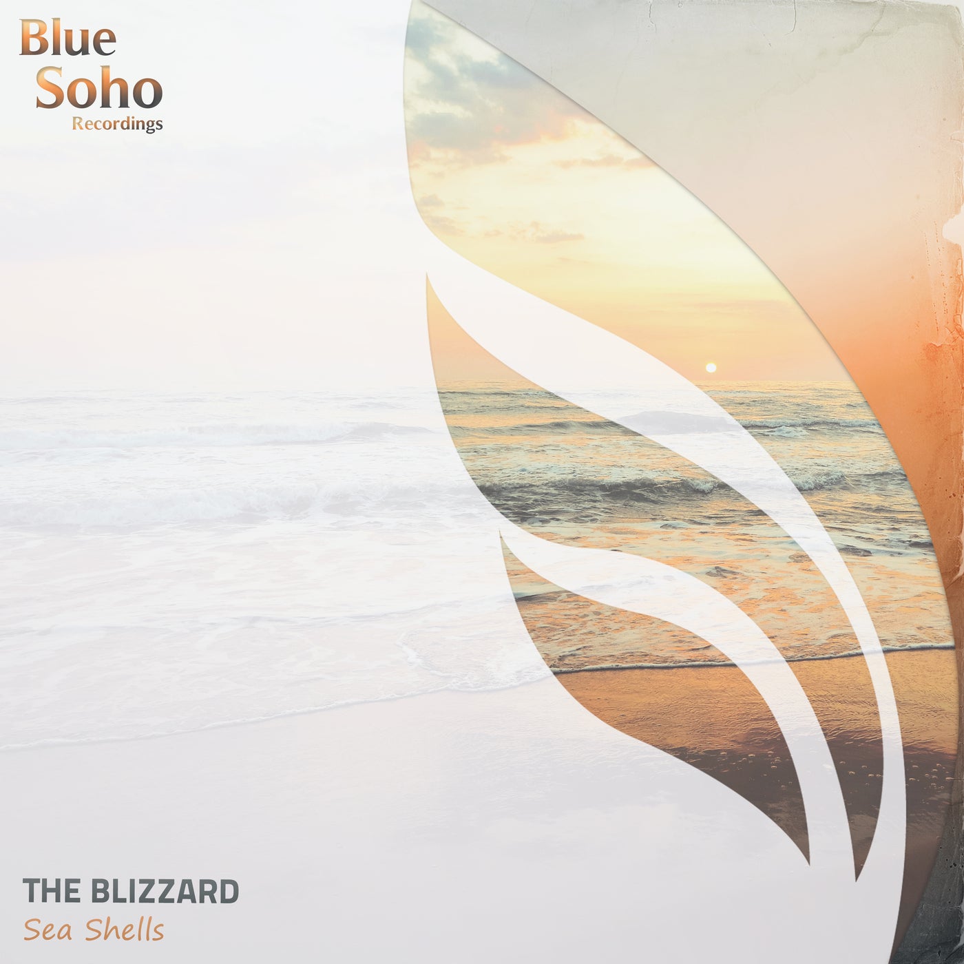 The Blizzard - Sea Shells (Extended Mix)