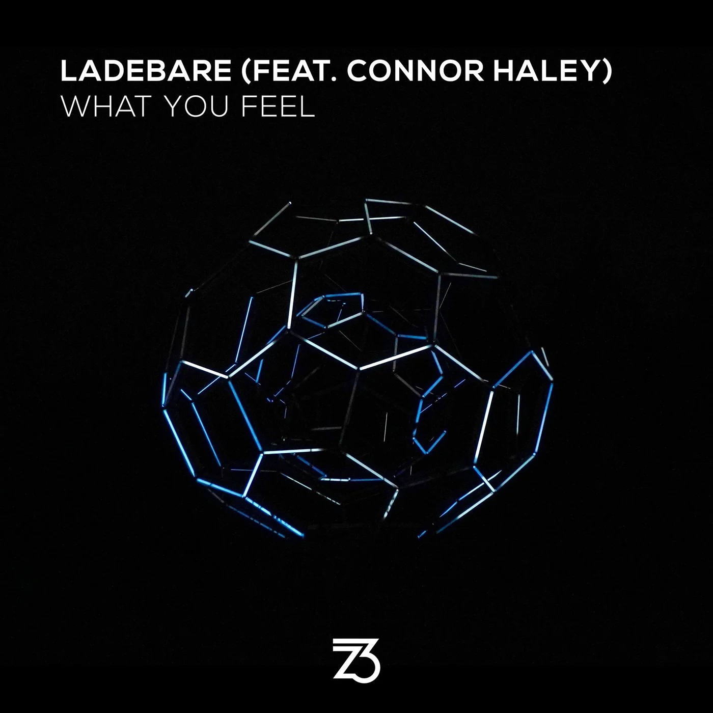 Ladebare Feat. Connor Haley - What You Feel (Extended Mix)