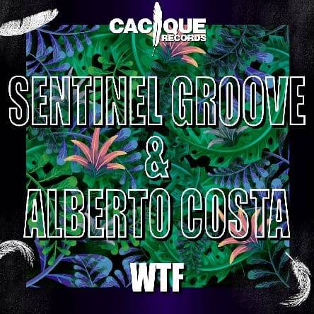 Sentinel Groove & Alberto Costa - Wtf (Original Mix)