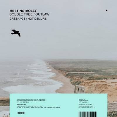 Meeting Molly - Outlaw (Not Demure Remix)