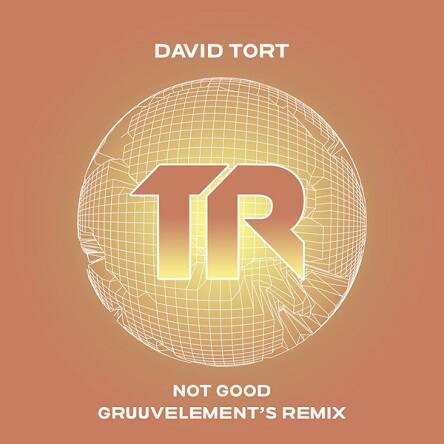 David Tort, GruuvElement's - Not Good (GruuvElement's Remix)