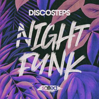 Discosteps - Night Funk (Original Mix)