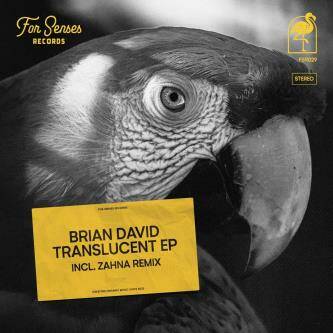 Brian David - Little Butterfly (Original Mix)