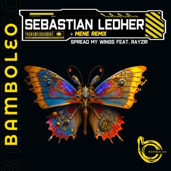 Sebastian Ledher - Cause Like (Original Mix)