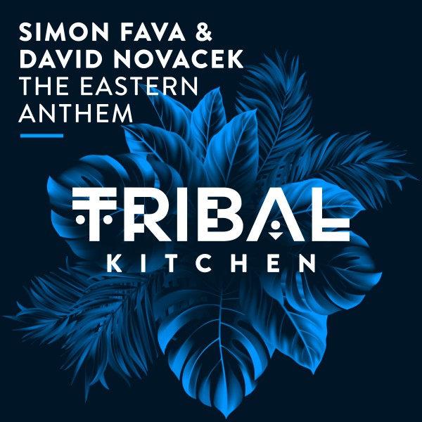 Simon Fava, David Novacek - The Eastern Anthem (Original Mix)