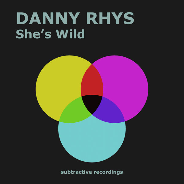 Danny Rhys - She's Wild (Extended Mix)