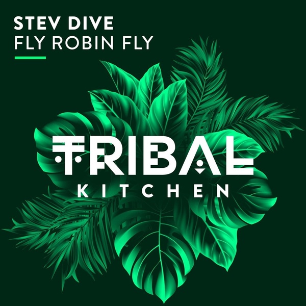 Stev Dive - Fly Robin Fly (Original Mix)