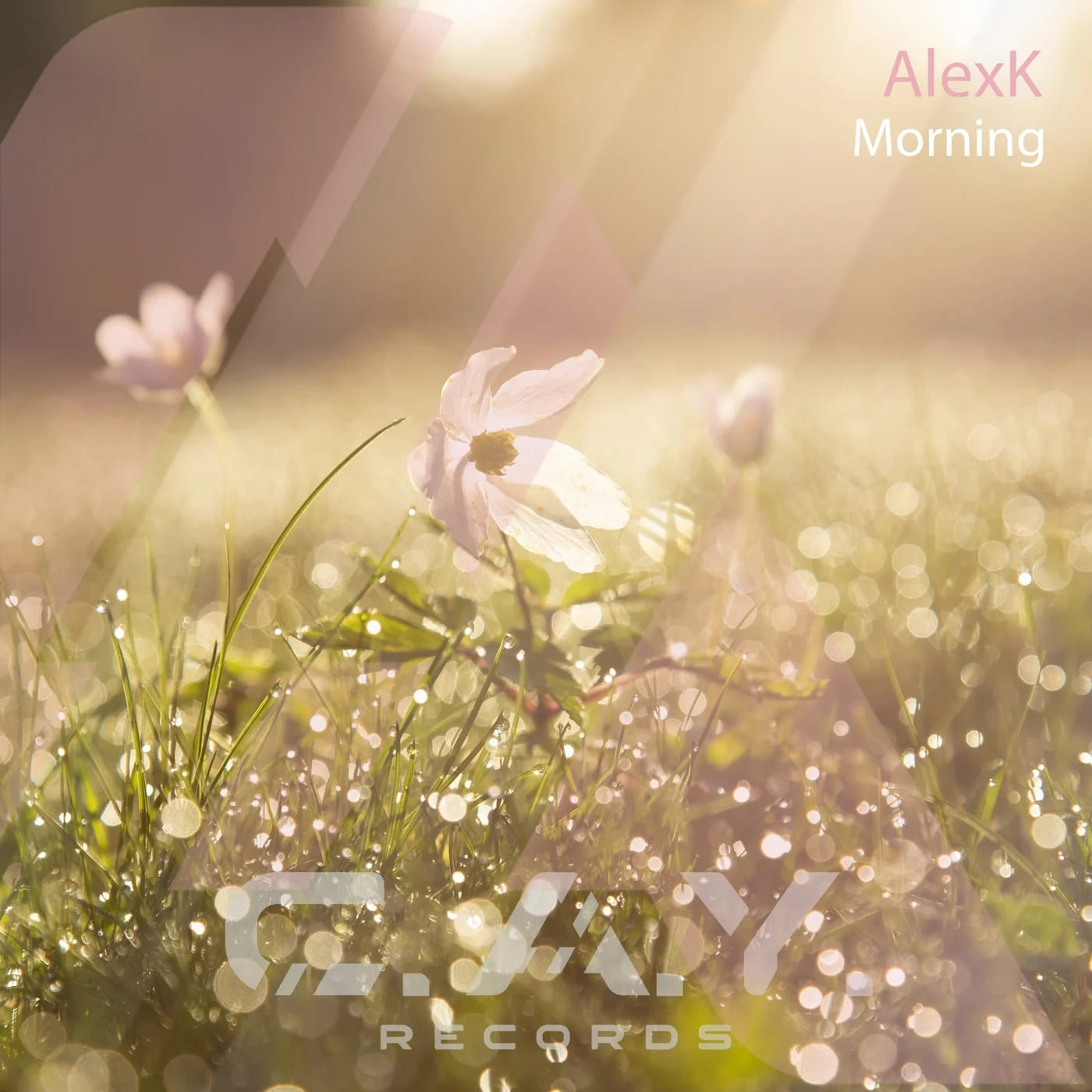 Alexk - Morning (Original Mix)