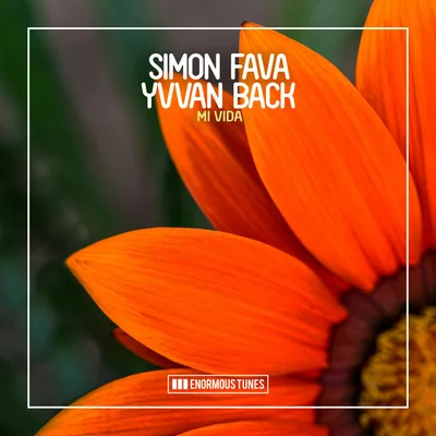 Simon Fava & Yvvan Back - Mi Vida (Extended Mix)