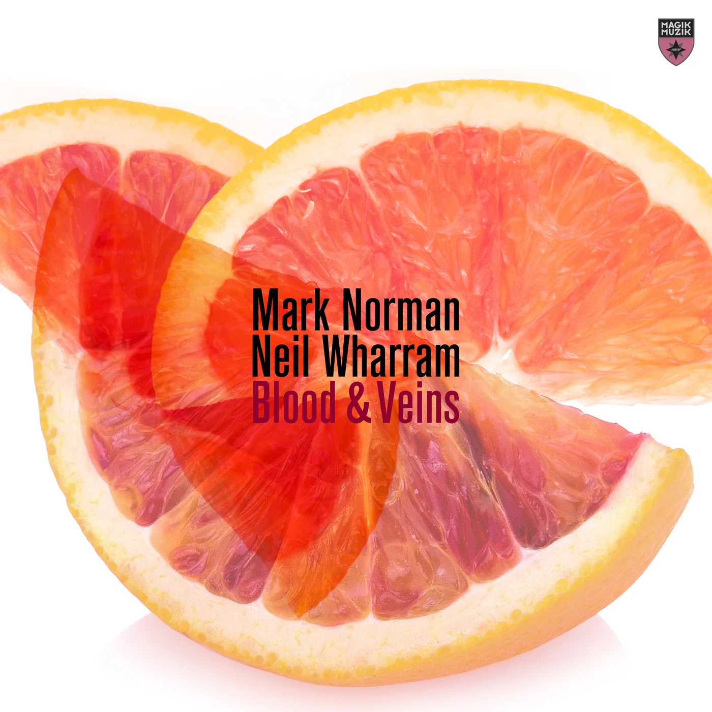 Mark Norman & Neil Wharram - Blood & Veins (Extended Mix)