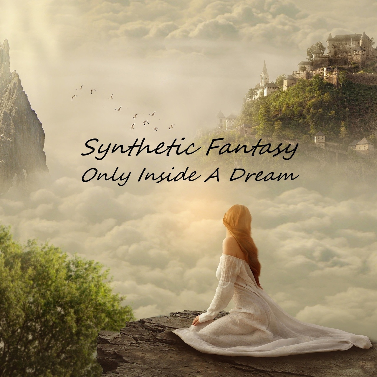 Synthetic Fantasy - Only Inside A Dream (Original Mix)