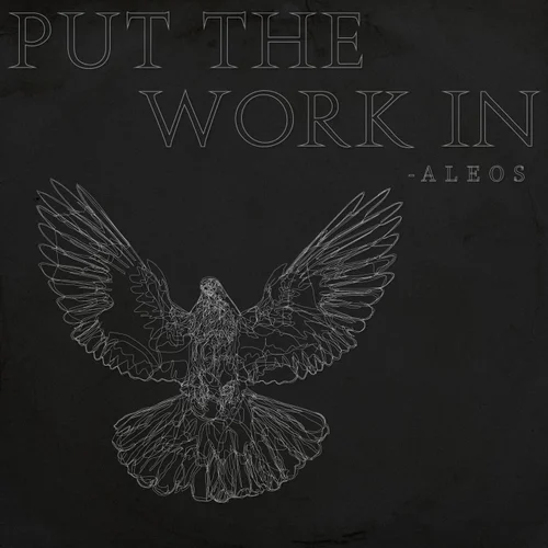 Aleos - Put The Work In (Extended Mix)