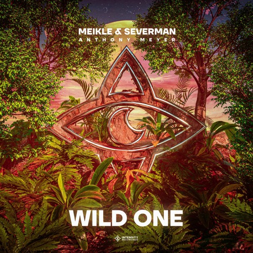 Meikle, Severman & Anthony Meyer - Wild One (Extended Mix)