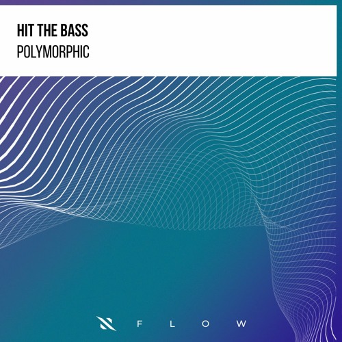 Hit The Bass - Polymorphic (Extended Mix)