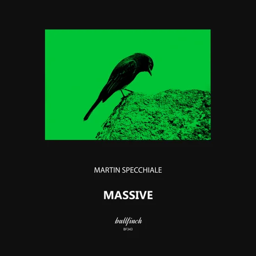 Martin Specchiale - Massive (Original Mix)