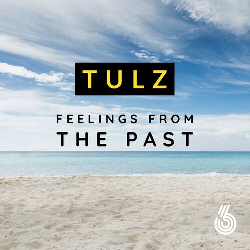 Tulz - Feelings From The Past (Original Mix)