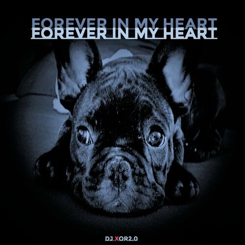 DJ XOR2.0 - Forever In My Heart (Original Mix)