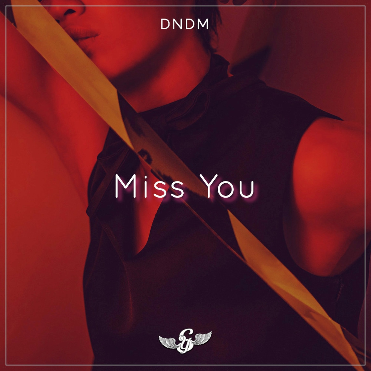 DNDM - Miss You (Original Mix)