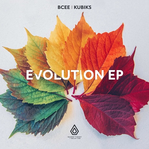 BCee & Kubiks, Rebekah Fitch - Believe It (Original Mix)
