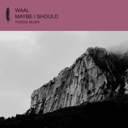 Waal - Maybe I Should (Original Mix)