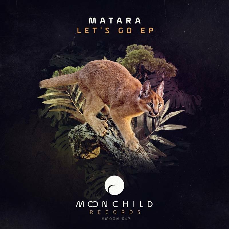 Matara - 303 (Original Mix)