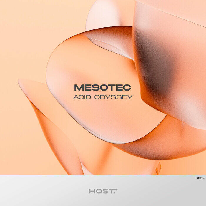 Mesotec - Acid Odyssey (Original Mix)