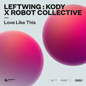 Leftwing Kody & Robot Collective - Love Like This (Extended Mix)