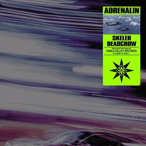 Deadcrow ft. Skeler - Addenalin (Original Mix)