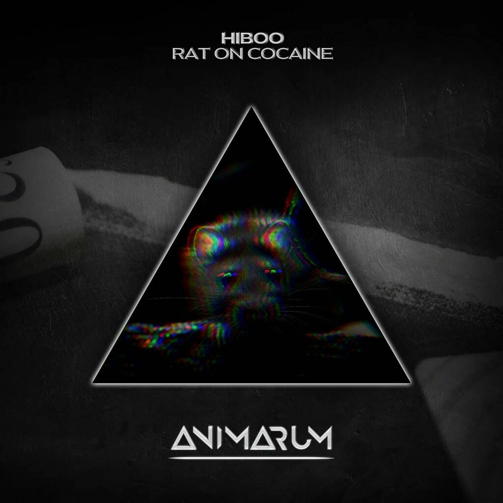 Hiboo - Rat On Cocaine (Original Mix)