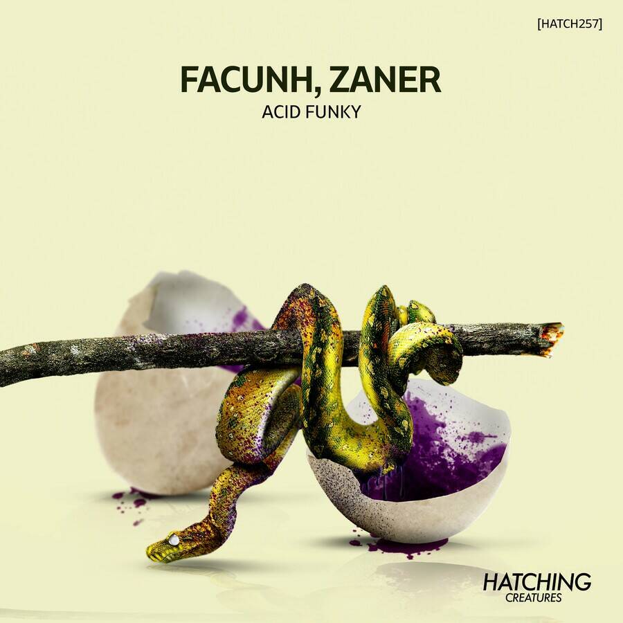 Facunh, Zaner - Shaft of Light (Original Mix)