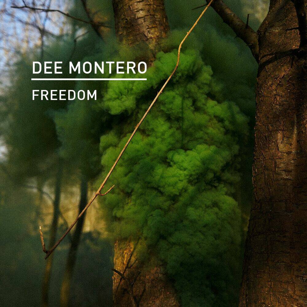 Dee Montero - Freedom (Original Mix)