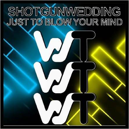 Shotgunwedding - Just To Blow Your Mind (Original Mix)