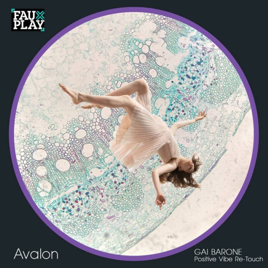 Fauxplay - Avalon (Gai Barone Positive Vibe Re-Touch)