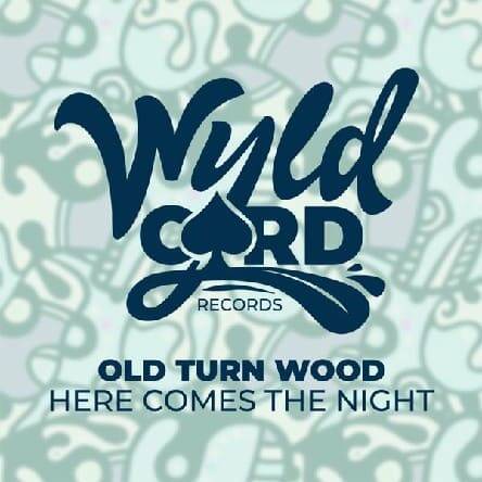 Old Turn Wood - Here Comes The Night (Original Mix)