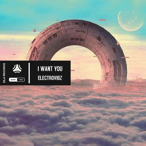ElectroVibZ - I Want You (Extended Mix)