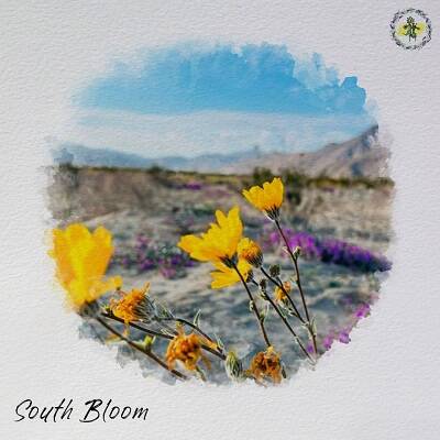 South Bloom - Let Me In (Original Mix)