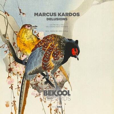 Marcus Kardos - Delusions (Erdi Irmak Remix)