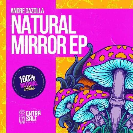 Andre Gazolla - Natural Mirror (Extended Mix)