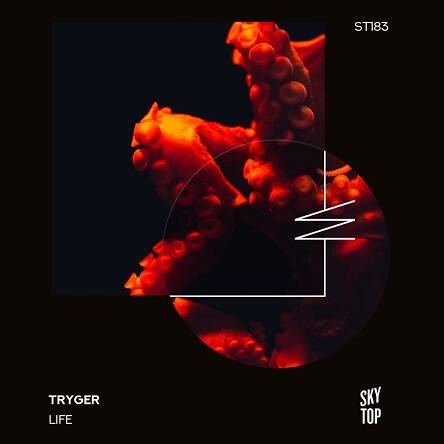 Tryger - Warrior (Extended Mix)