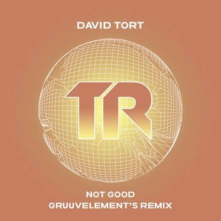 David Tort - Not Good (Extended Mix)