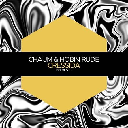 Chaum & Hobin Rude - Mesec (Original Mix)