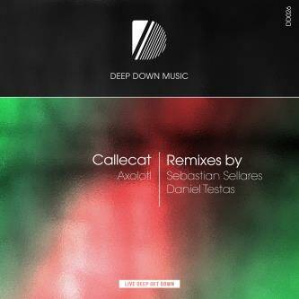 Callecat - Axolotl (Daniel Testas Remix)