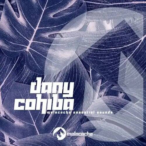 Dany Cohiba - Can U Feel the Music (Original Mix)