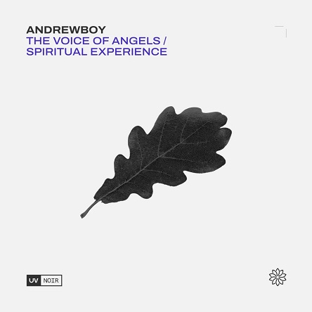 Andrewboy - Spiritual Experience (Cary Crank Extended Remix)