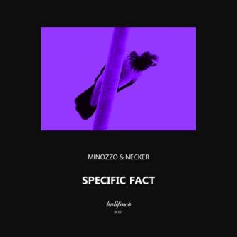 MINOZZO, Necker - Black Sky (Original Mix)