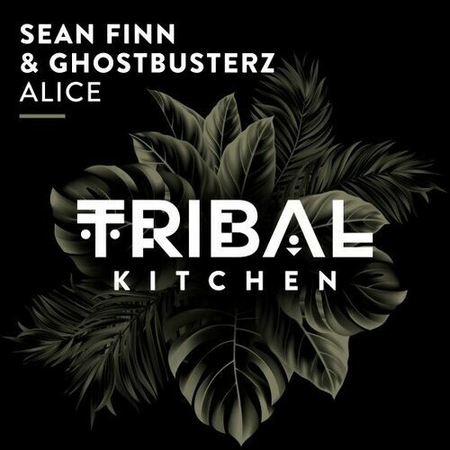 Sean Finn & Ghostbusterz - Alice