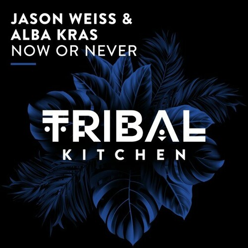 Jason Weiss, Alba Kras - Now or Never (Extended Mix)