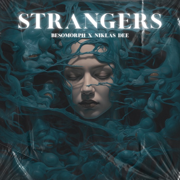 Besomorph feat. Niklas Dee - Strangers