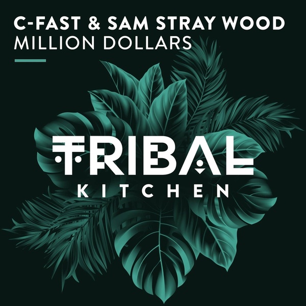 Sam Stray Wood, C-Fast - Millions Dollars (Original Mix)