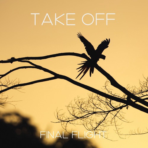 Final Flight - Take Off (Tech Mix)